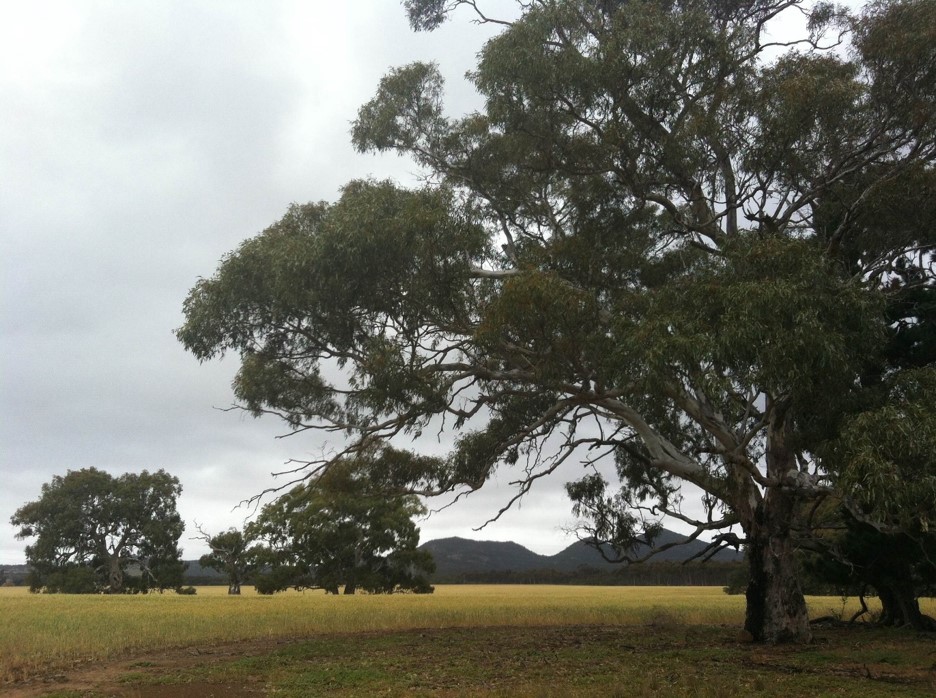 You Yangs sand mine