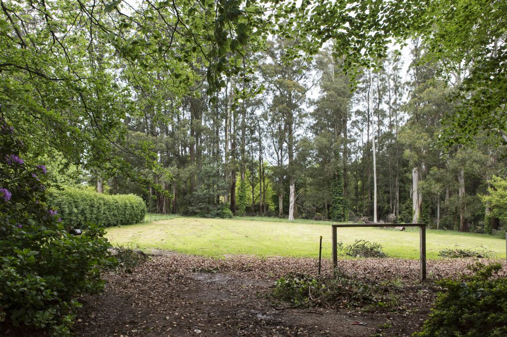 20161115-BurnhamBeeches-027