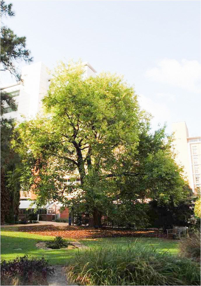 T11864 - photo by Homewood Consulting 2012 (1)