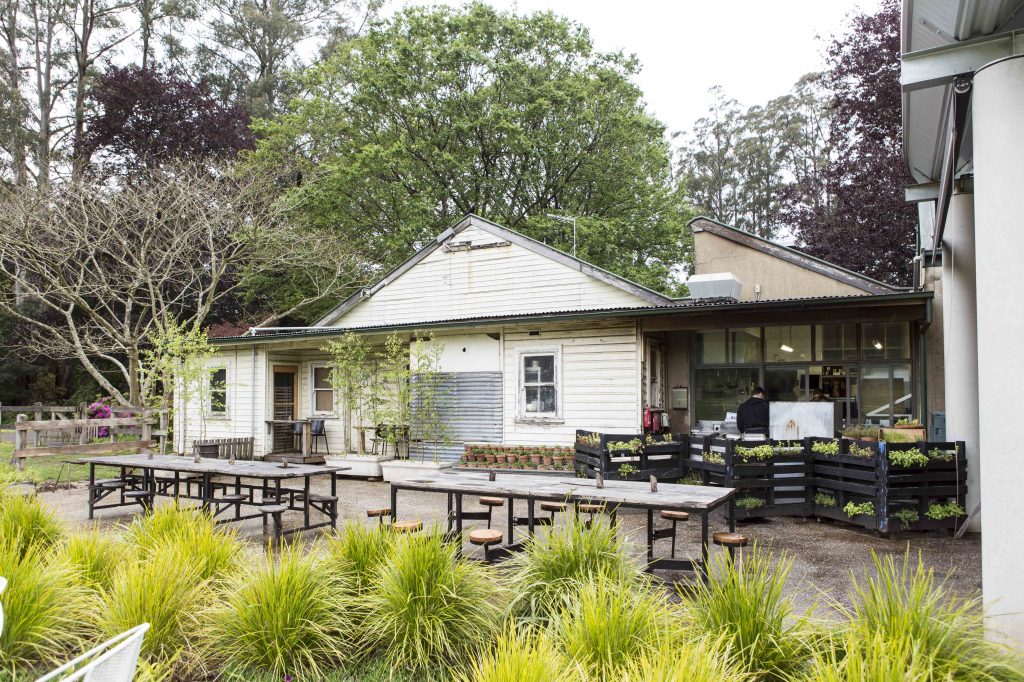 20161115-BurnhamBeeches-005