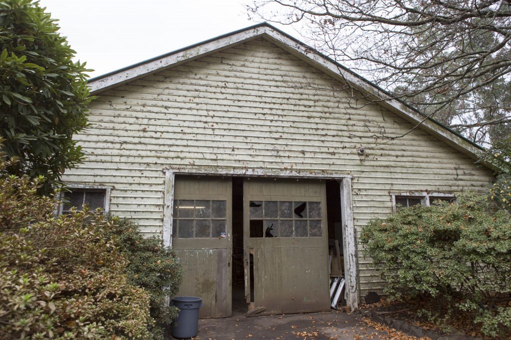 2017_05_Burnham_Beeches-003