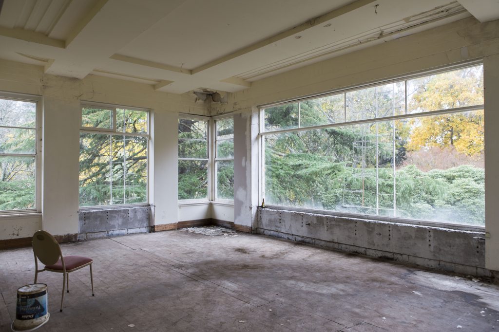 2017_05_Burnham_Beeches-103