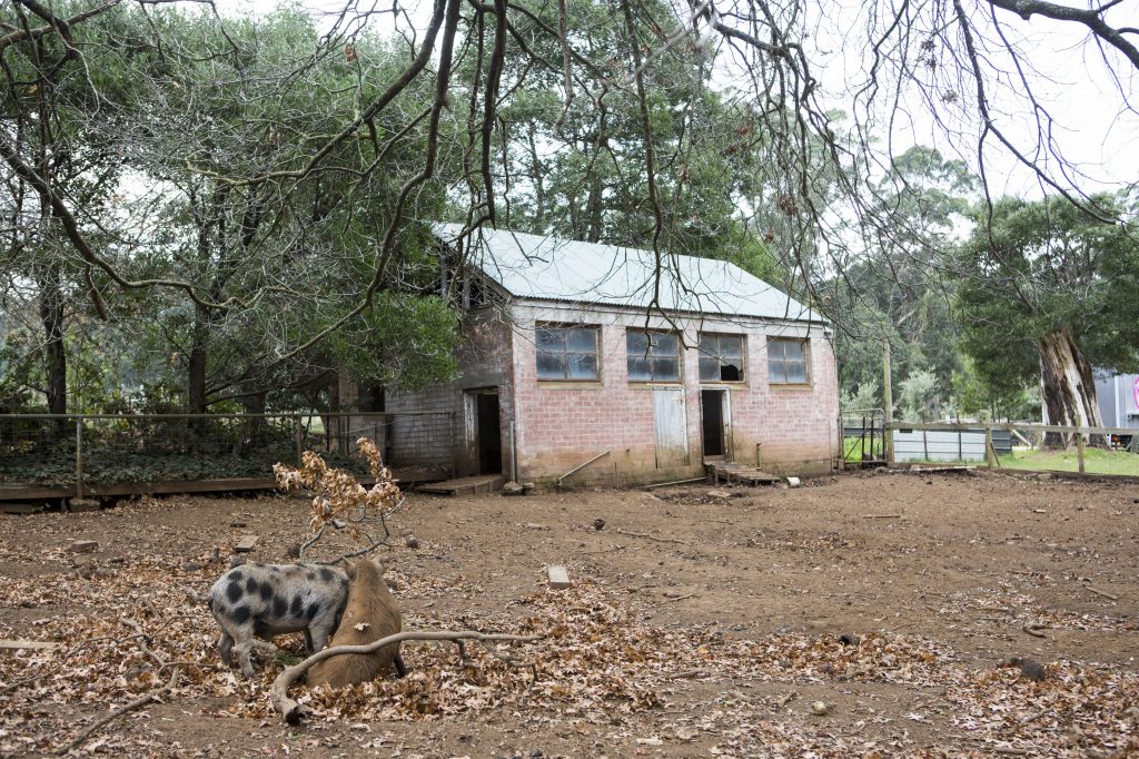 2017_05_Burnham_Beeches-149