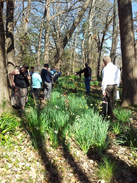 New public reserve planned at the Former Smiths Nursery