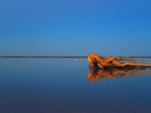 National Trust responds to Lake Tyrrell Tourism Infrastructure Development Project